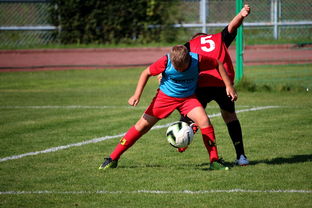 乐鱼体育在线入口-篮球运动员训练负荷监控系统开发与应用研究，篮球运动员运动负荷量