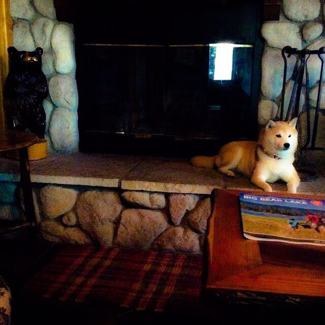 英超球队基于跑动数据优化高强度对抗恢复策略,英超球员跑动距离查询