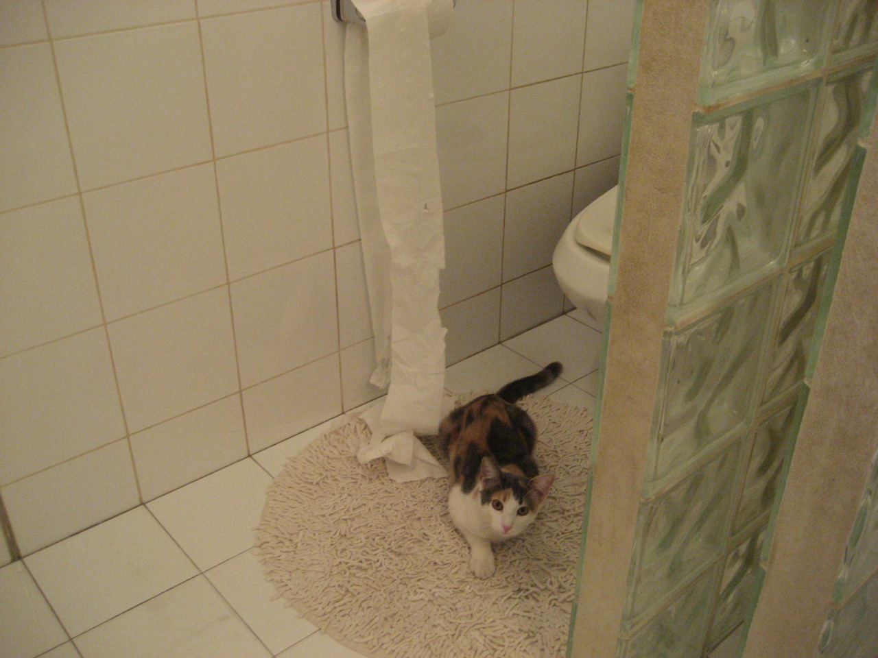 CBA联赛加强裁判培训 确保比赛公平公正，cba裁判考试流程