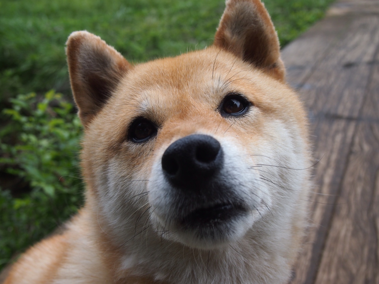 “东安湖体育公园赛场：跑酷挑战不断，选手精彩绝伦”