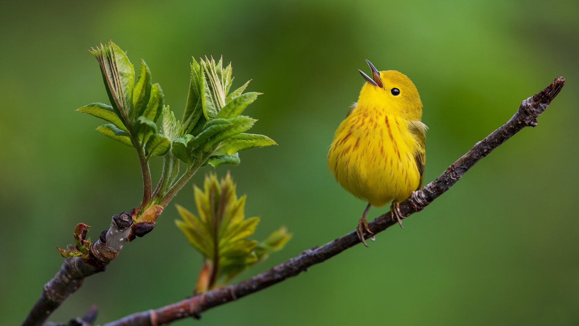 乐鱼体育官网登录-中国三人篮球男队积极磨合 新人表现出色，中国三人篮球男队积极磨合 新人表现出色吗