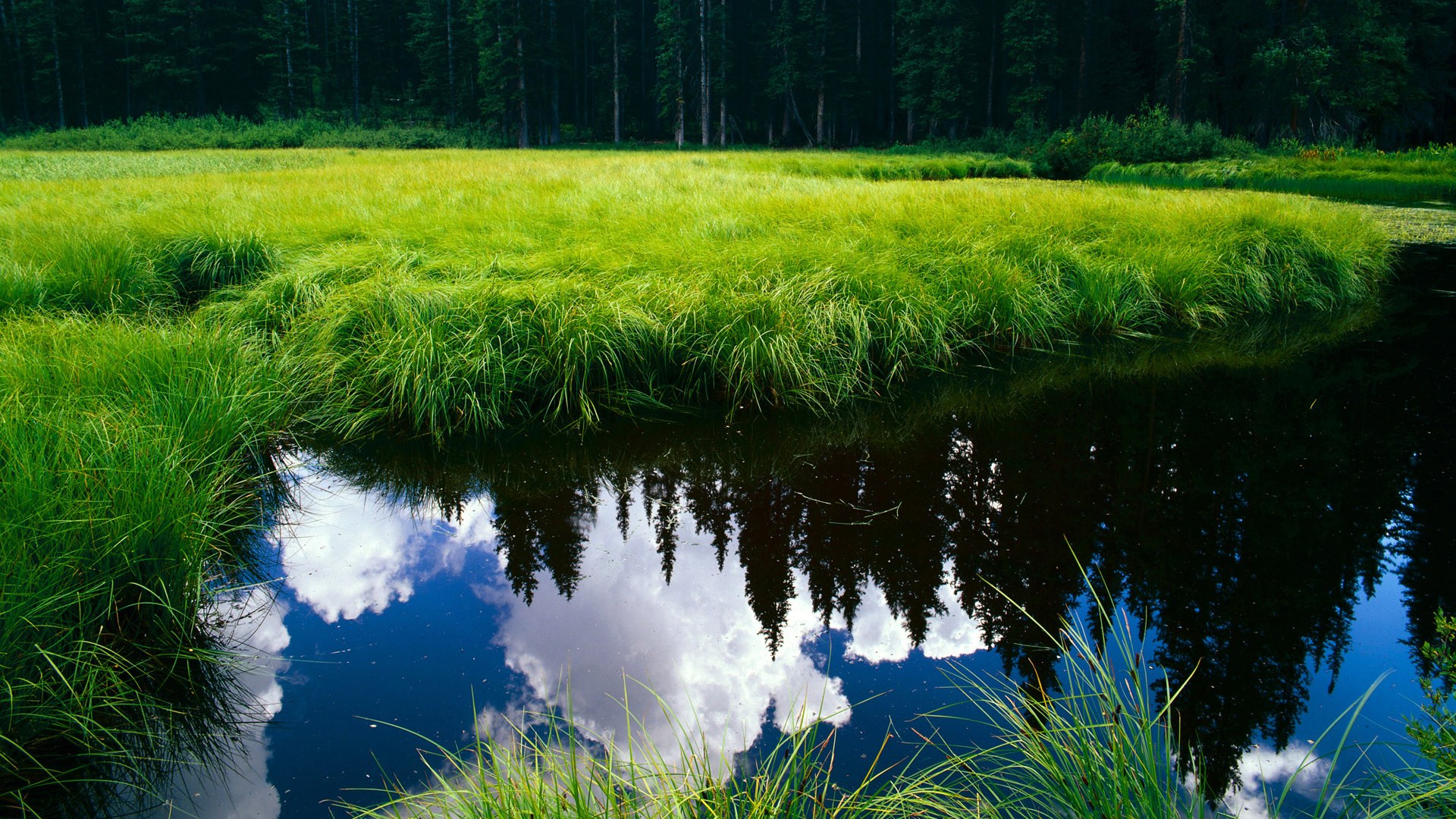 女排风采朱婷回归引爆球迷期待,女排主攻手朱婷近况