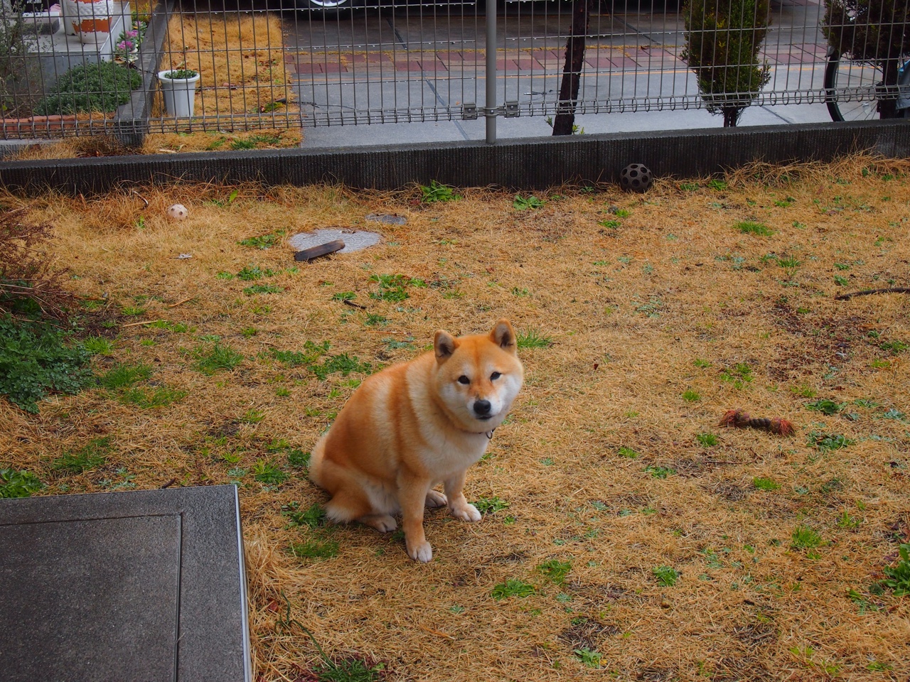 球员技术提升为何总跟不上对手，球技突然提升