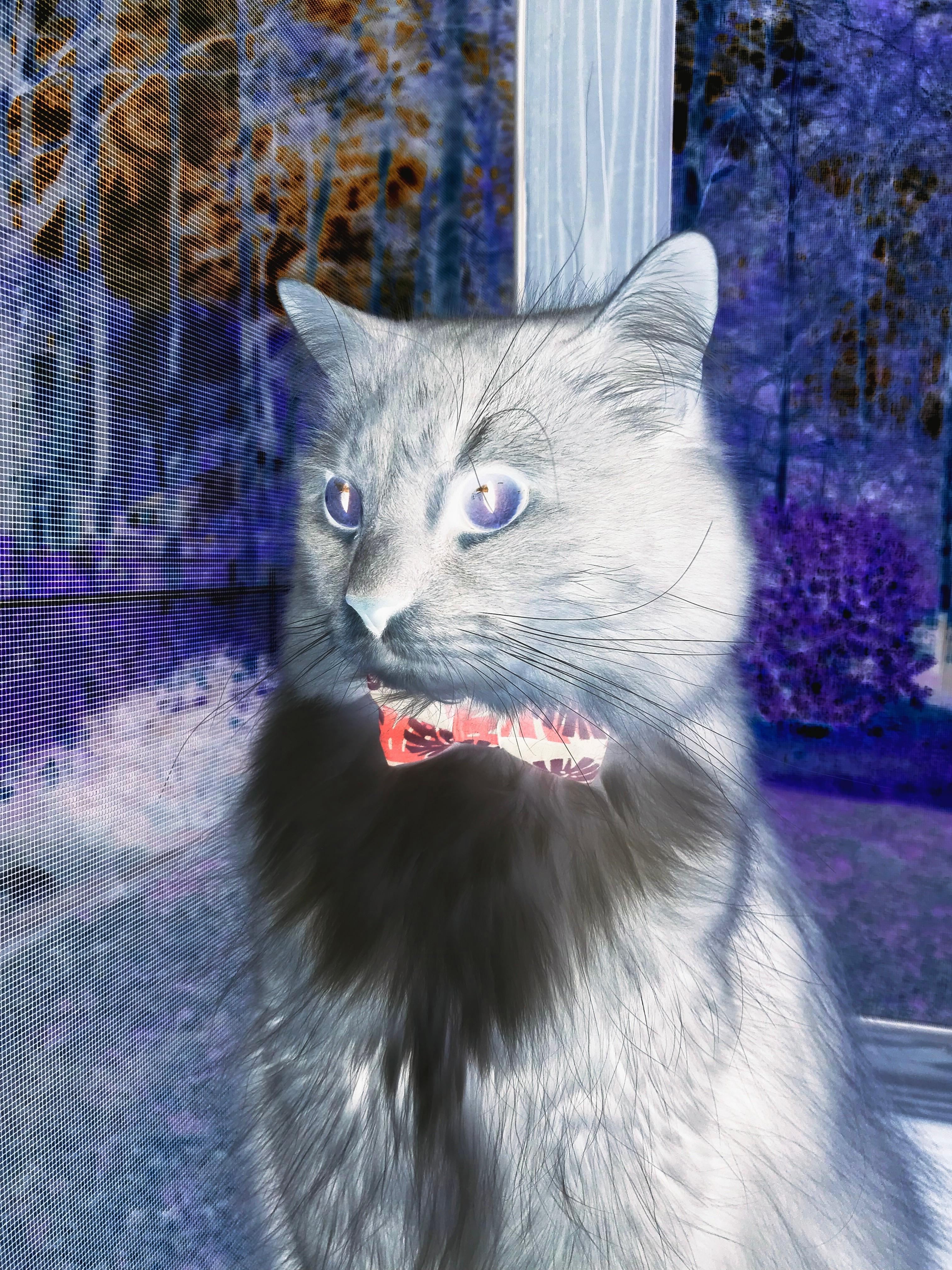 乐鱼体育app官网下载-英雄联盟教练组调兵遣将带来奇效，lol教练tabe