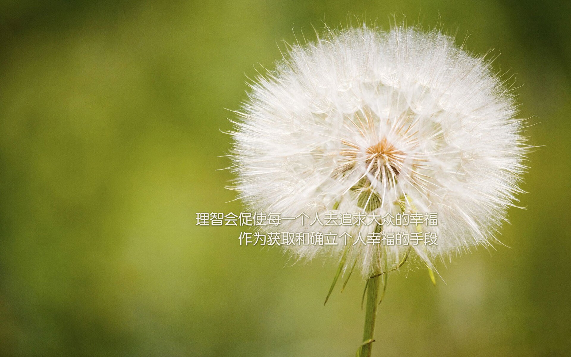 青少年足球裁判培训班首次面向初高中生开放，校园足球裁判员培训