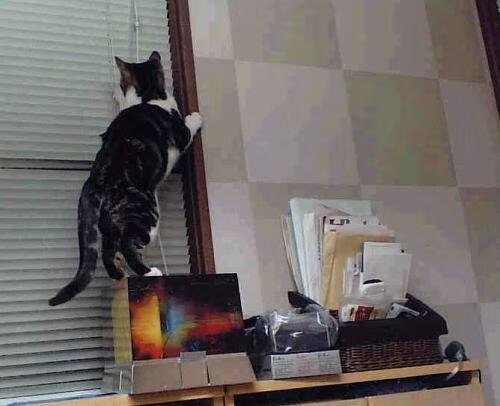 中国足球联赛制定青训成果考核激励制度，中国足协青训大纲精神解读