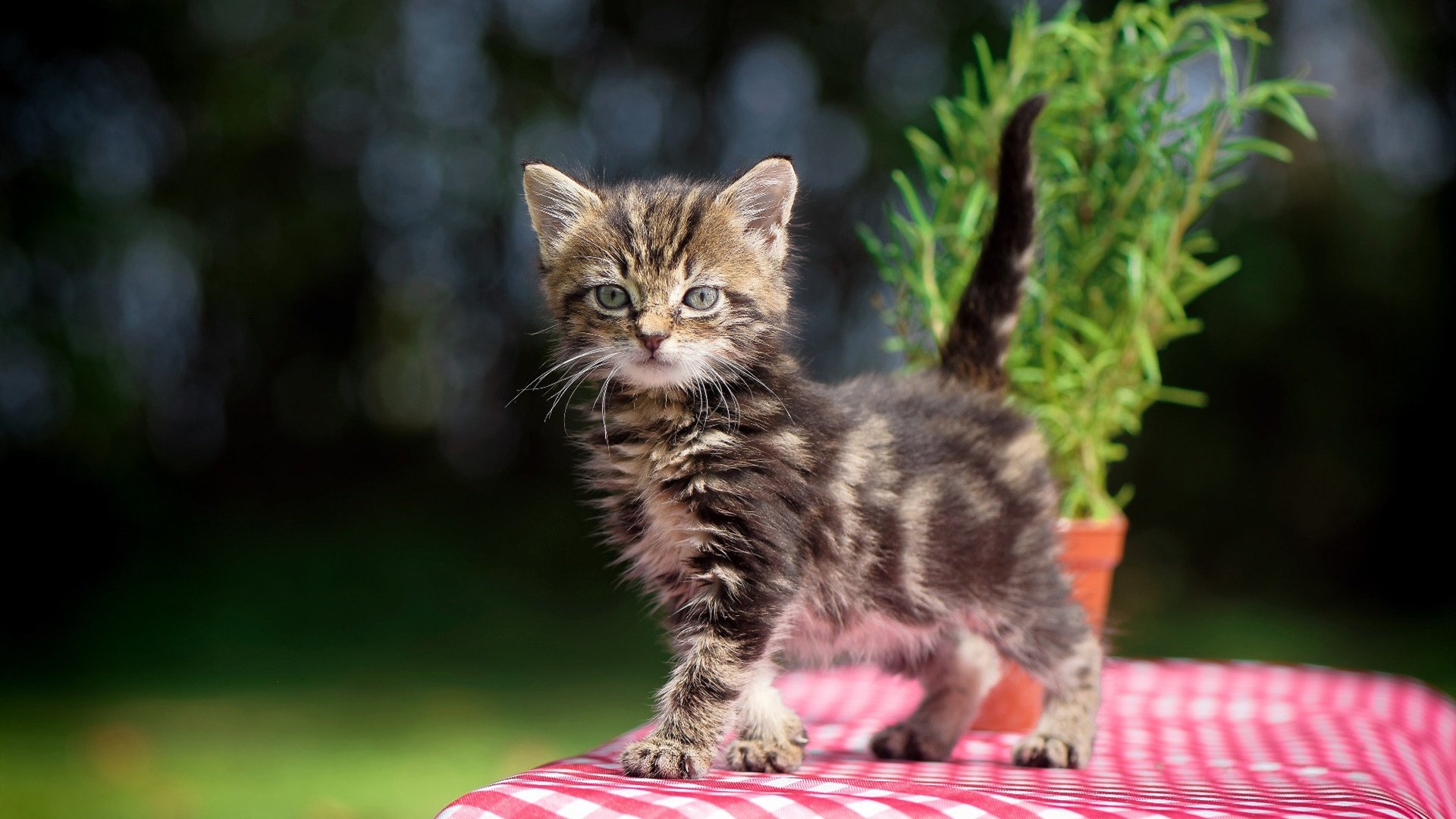 国家体育总局发布全民健身场馆合理布局指导意见，全民健身场地设施项目建设标准